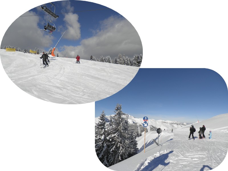 SKI ALPIN/classe de neige SKI ALPIN/classe de neige